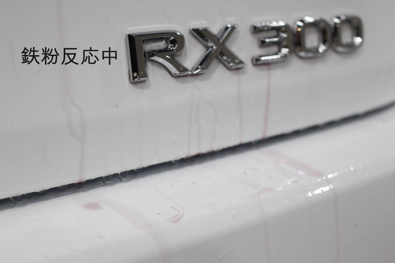 RX300-鉄粉-2