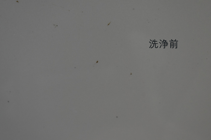 RX-細部洗浄前