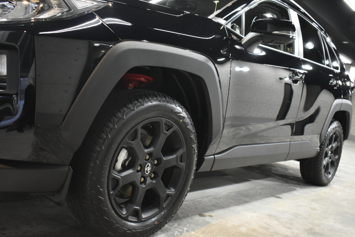 RAV4-6