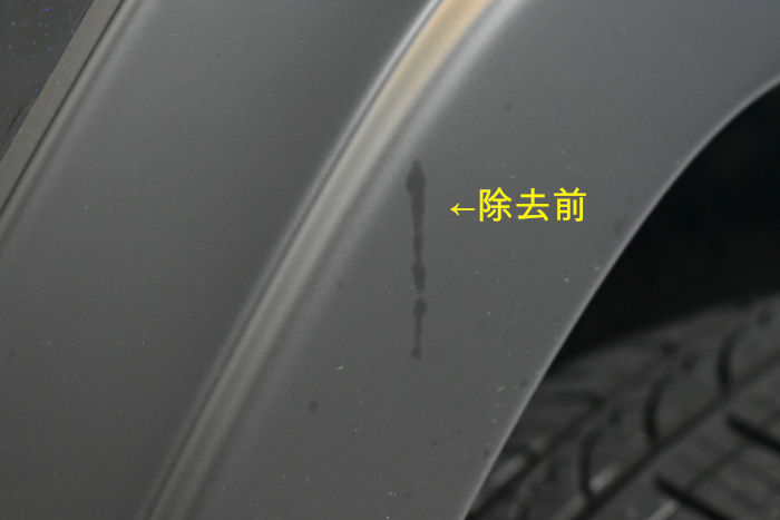 RAV4-除去前