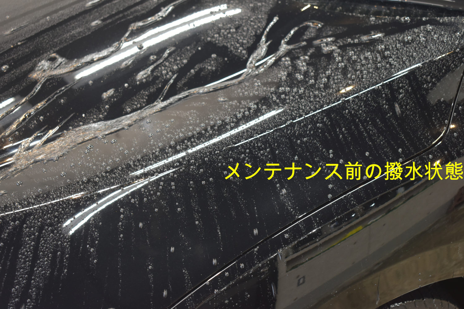 シビック-1