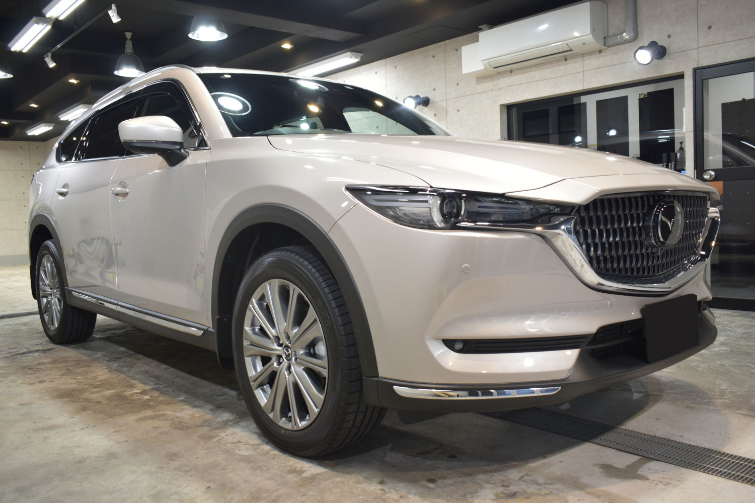 CX-8-1