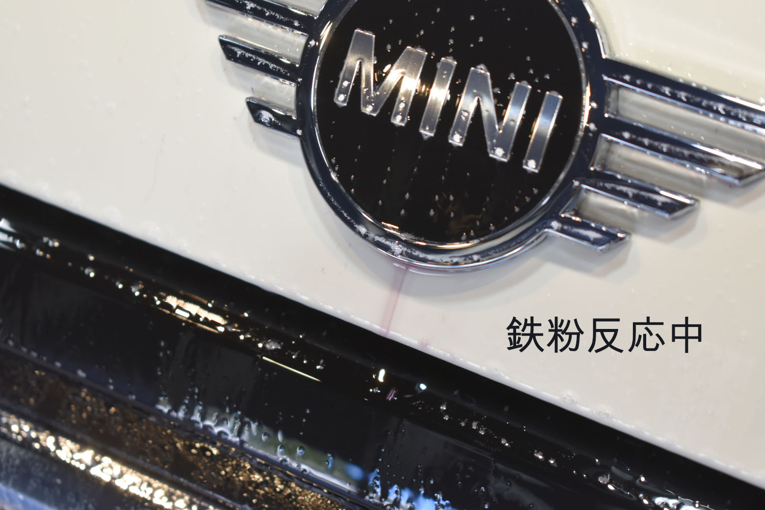 MINI-鉄粉