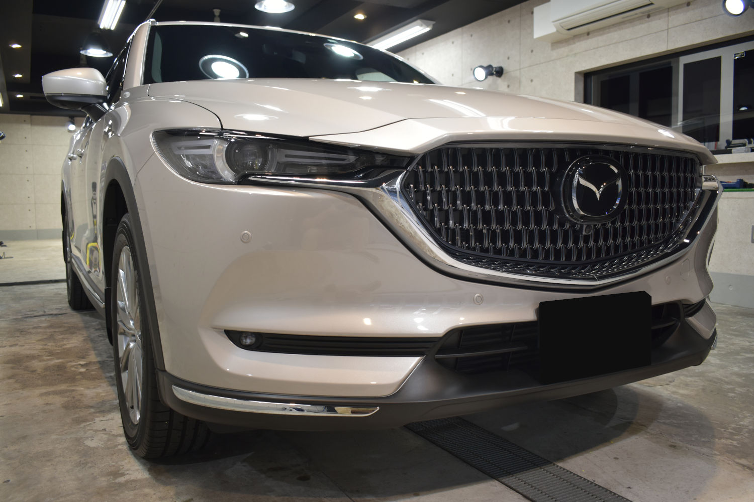 CX-8-2