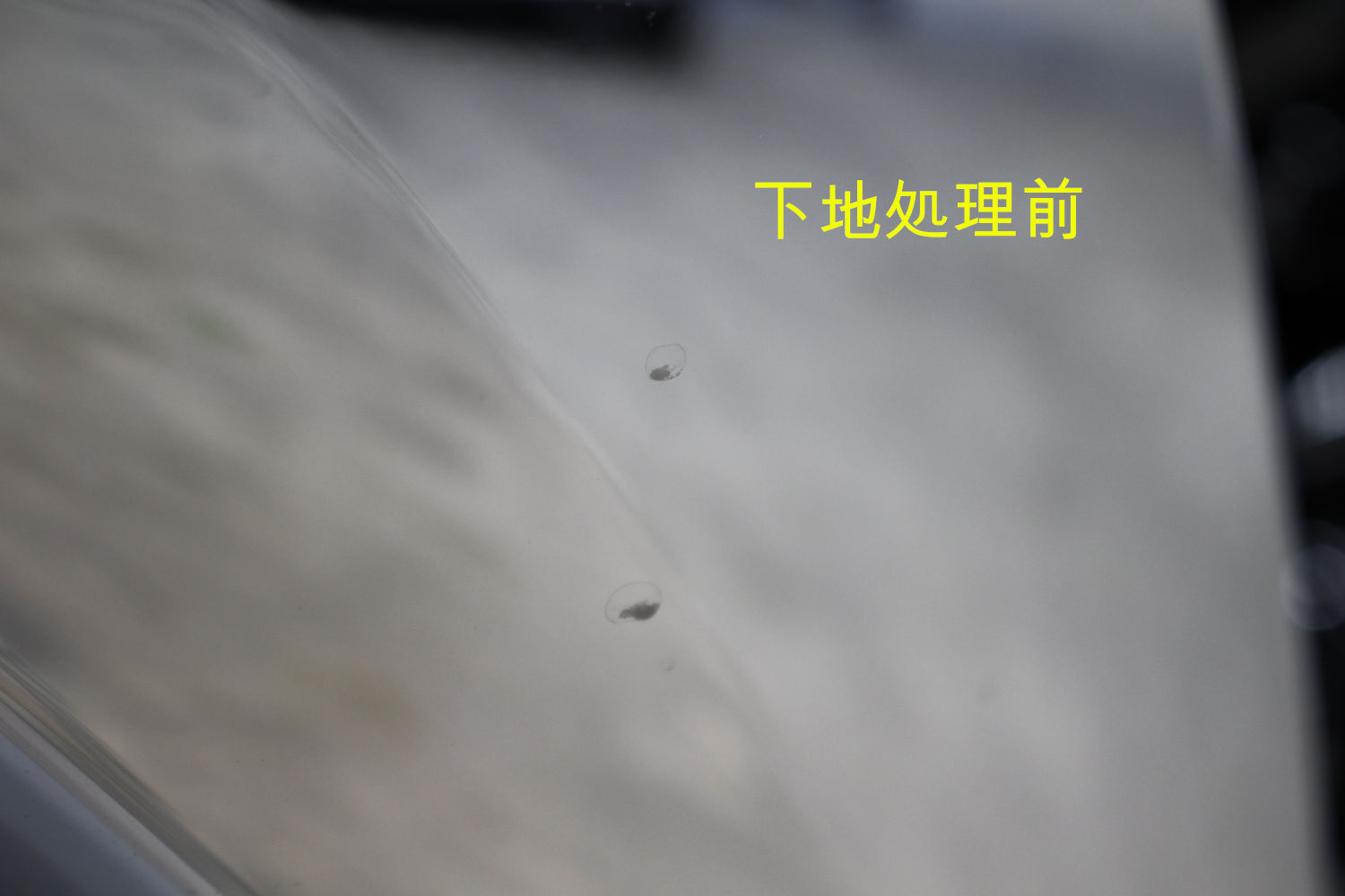 下地前-1