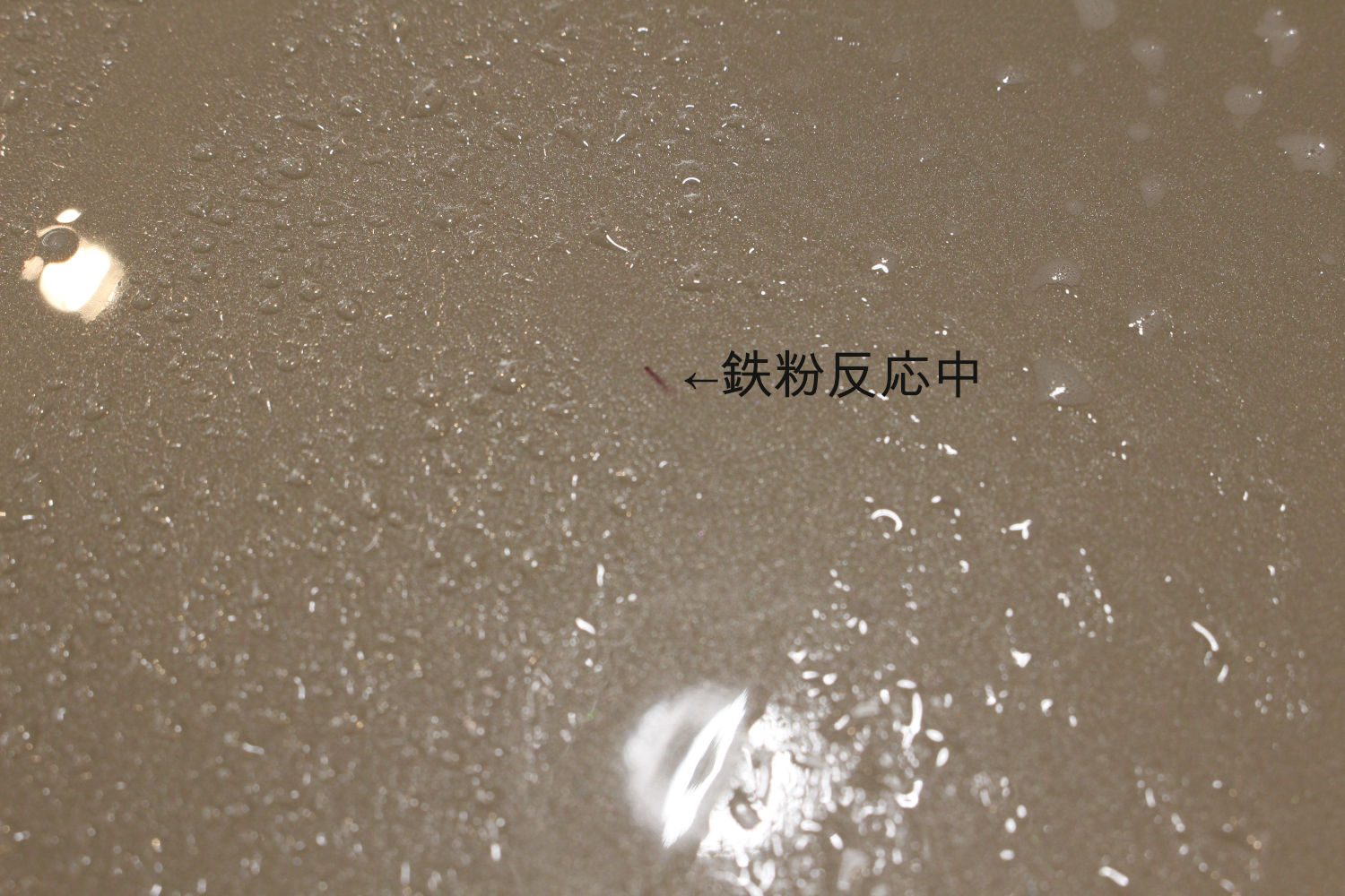 鉄粉-1
