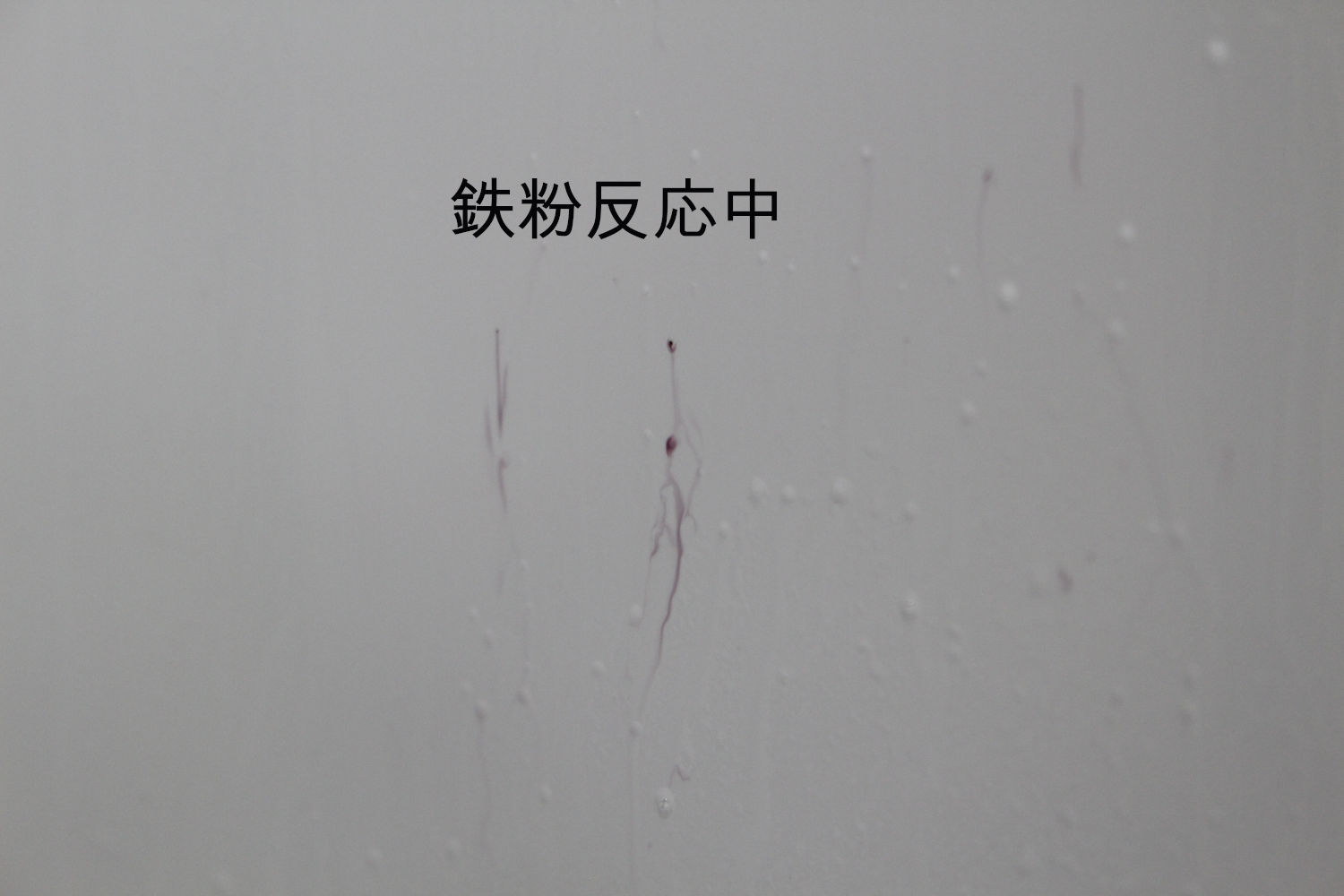 鉄粉-1