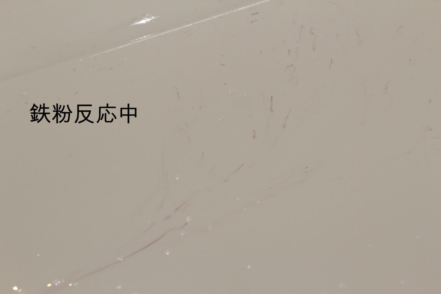 鉄粉-2