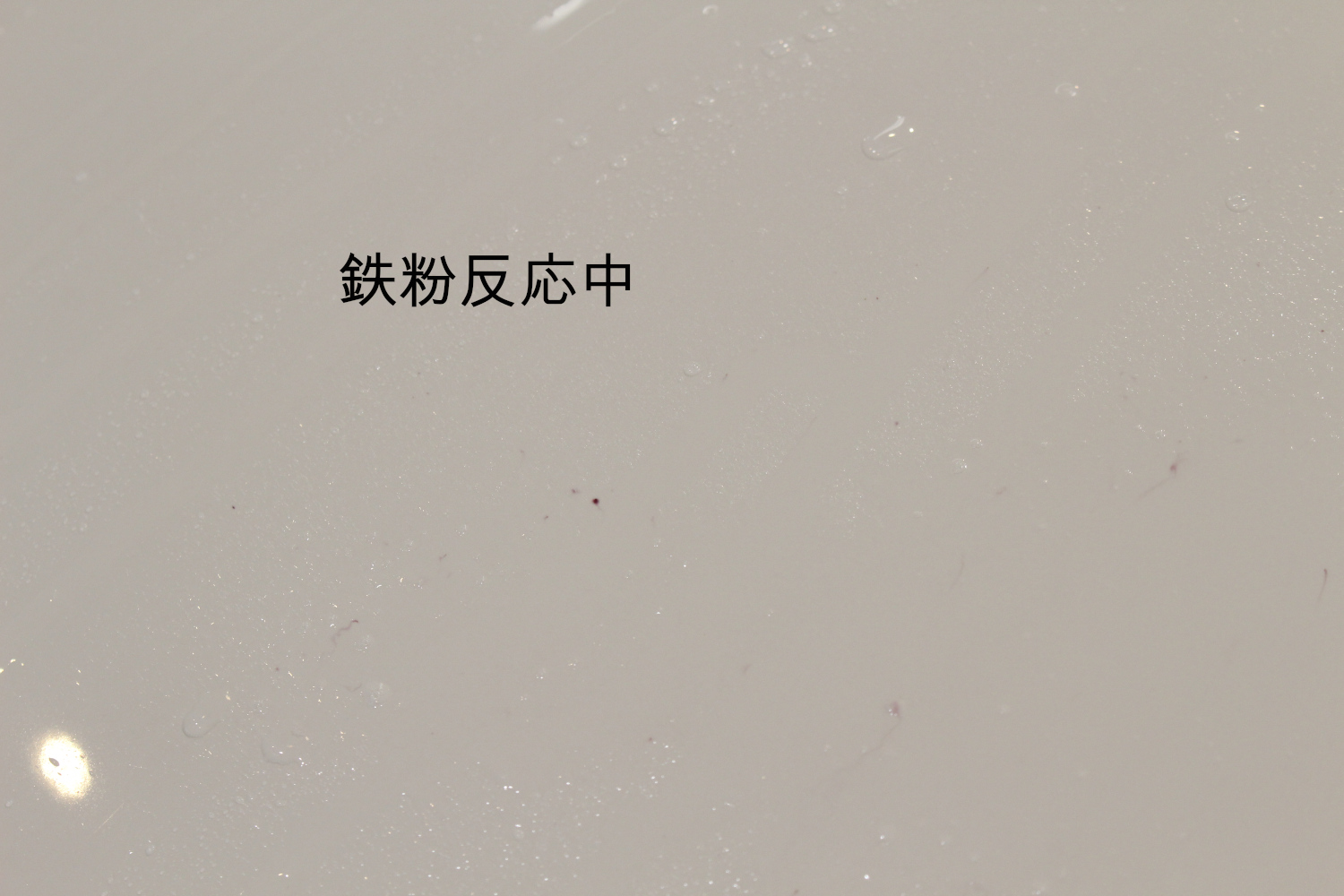 鉄粉-1