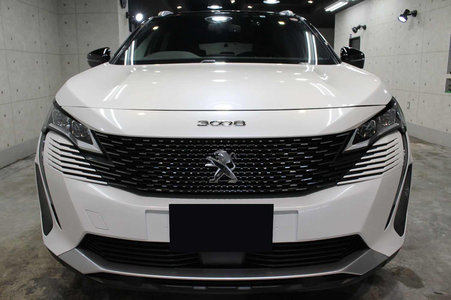 3008-3