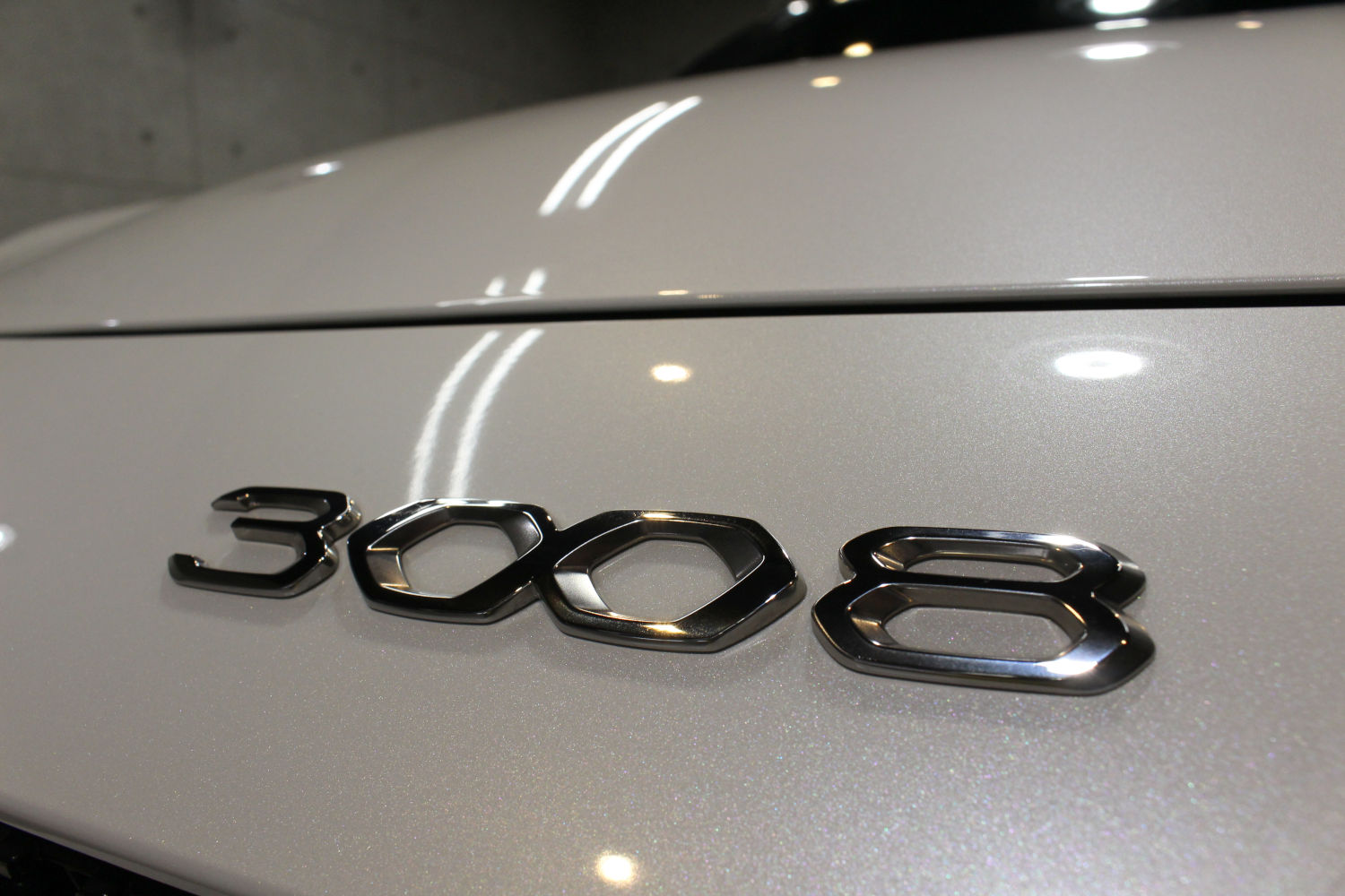 3008-6