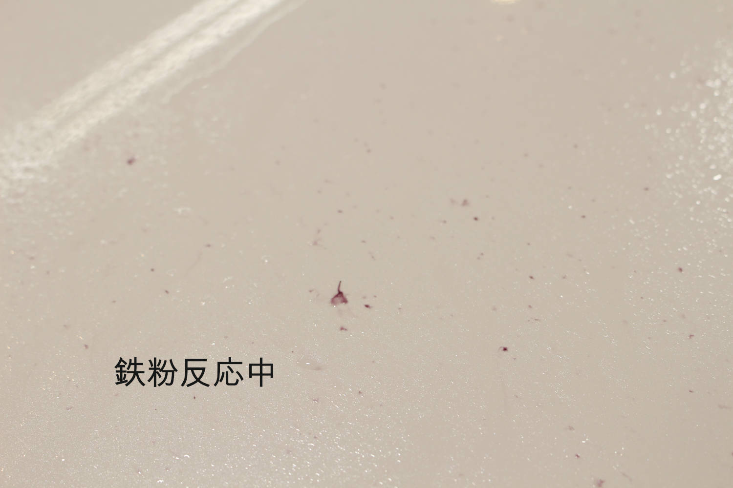RX300-鉄粉