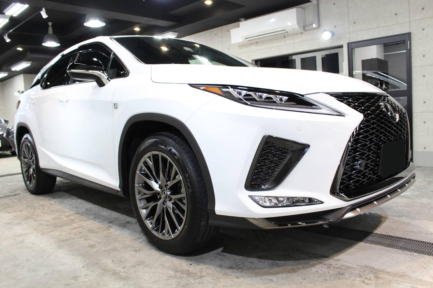 RX300-1