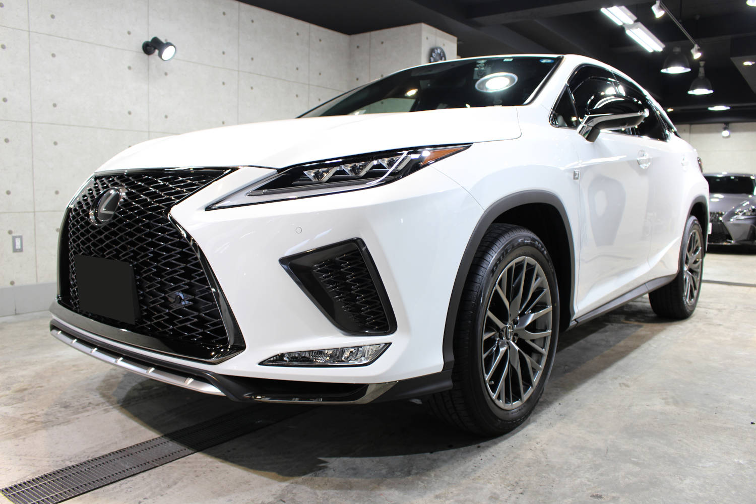 RX300-6