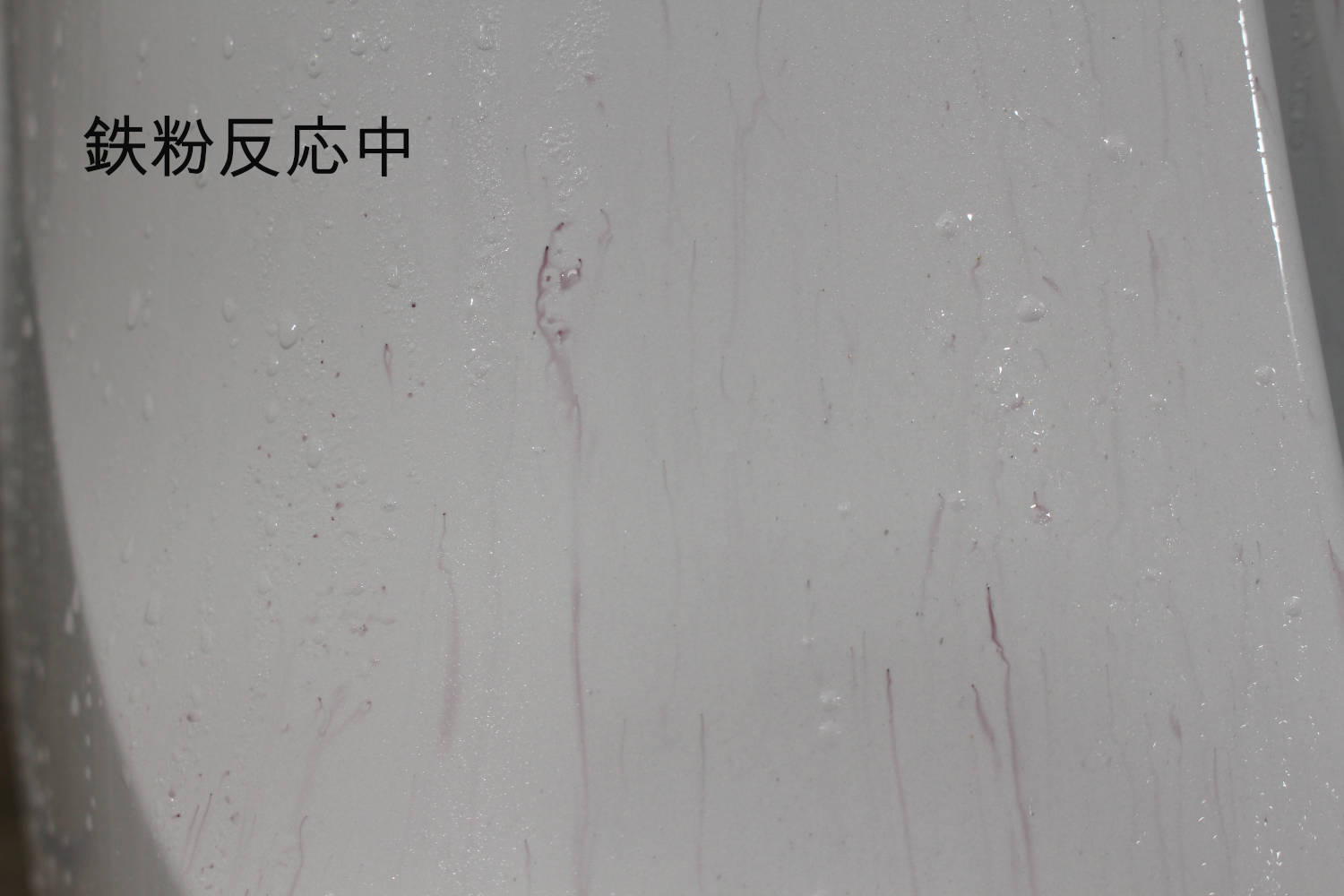 V220d-鉄粉-2